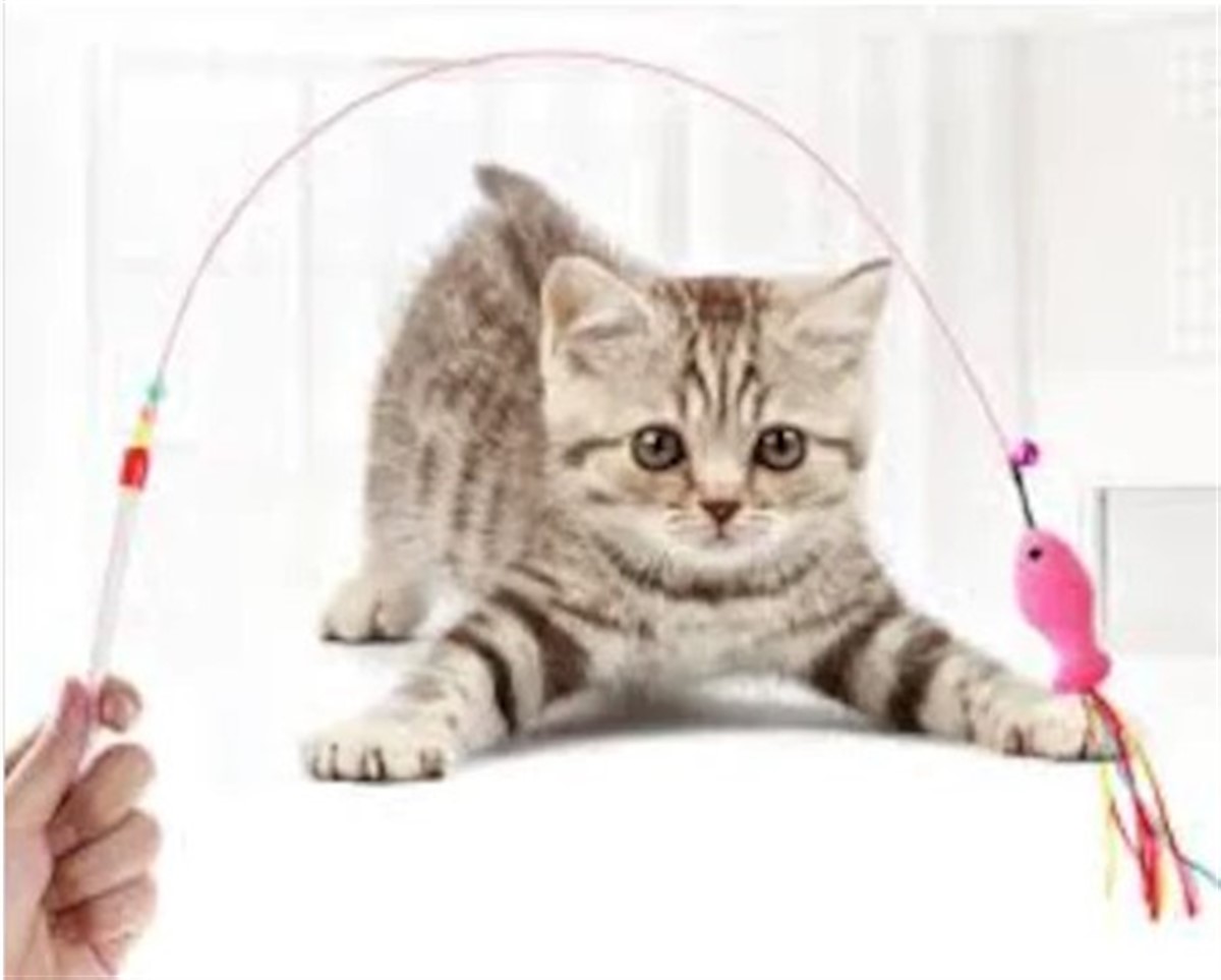 Kedi Oyuncak Peluş Balık Hedef Çıngırak Oyun Oltası 90 cm