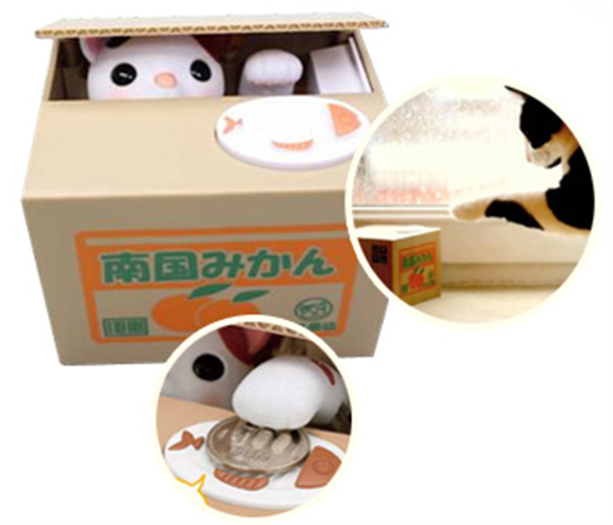 Kutuya Parayı Çeken Hırsız Kedi Kumbara