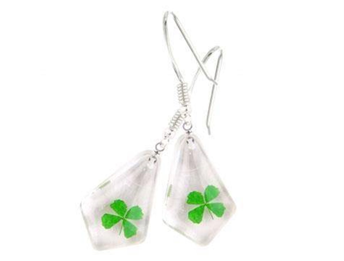 Gerçek Dört Yapraklı Yonca Şans Küpeleri