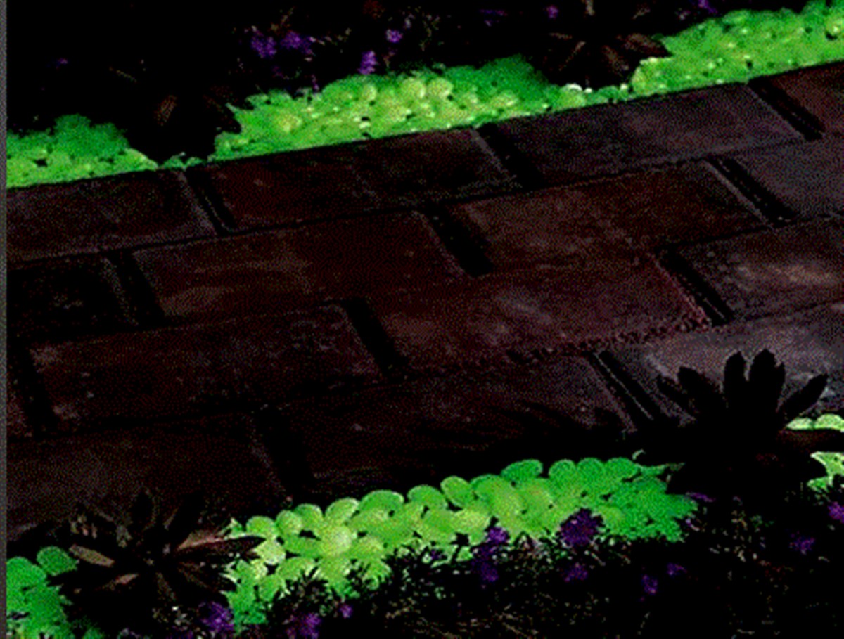 100 lü Paket Fosforlu Çakıl Taşları