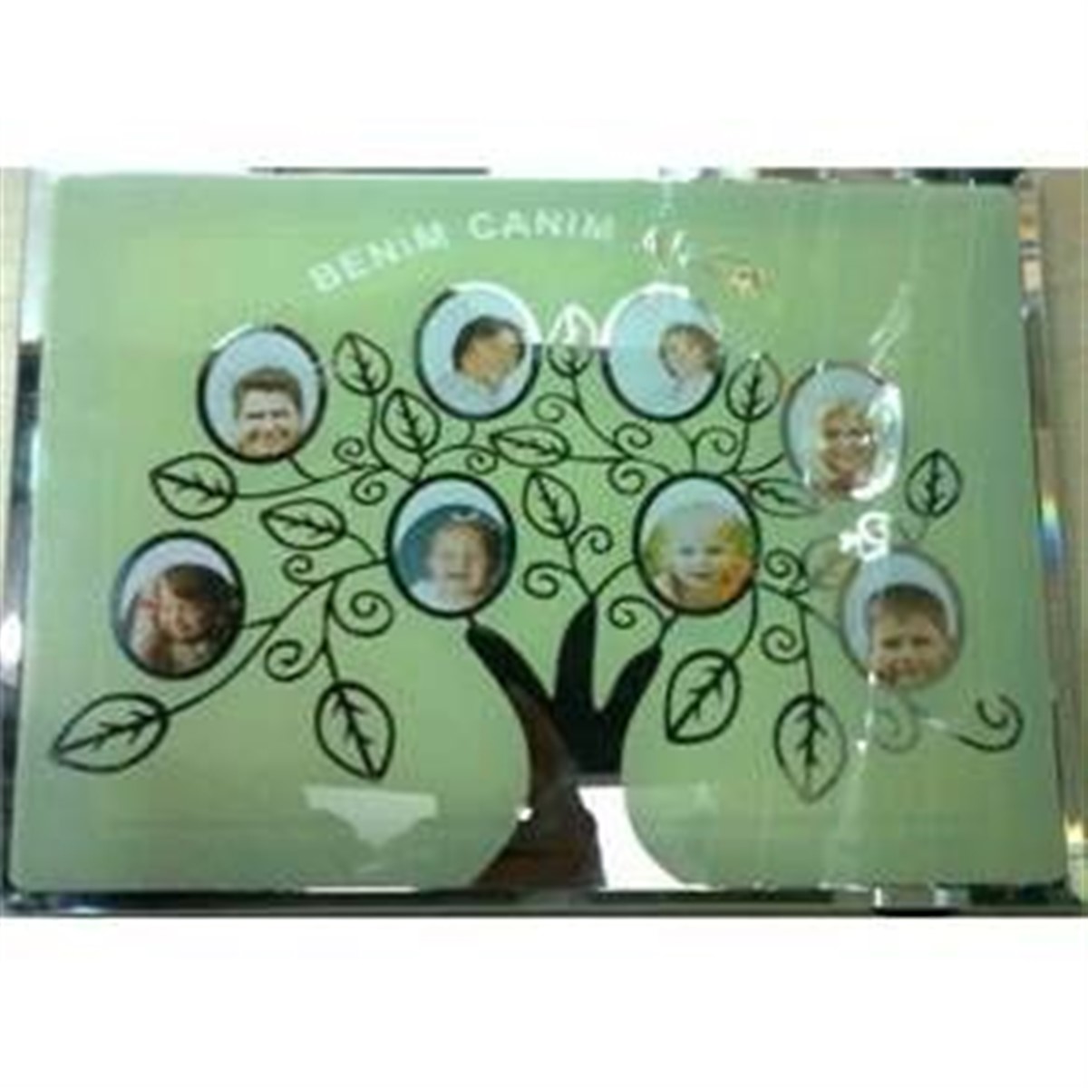 Canım Ailem Soy Ağacı Cam Çerçeve 8 Resimlik