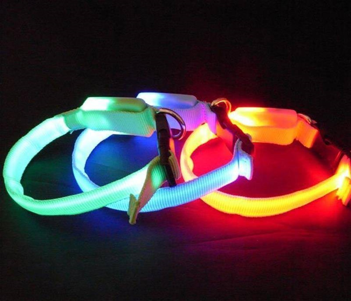 Işıklı Köpek Tasması
