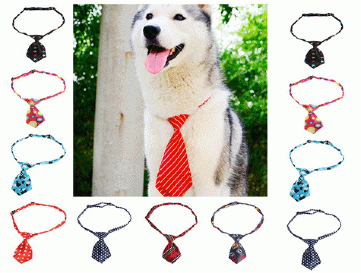 Mini Kravat Şeklinde Köpek Tasması Asorti