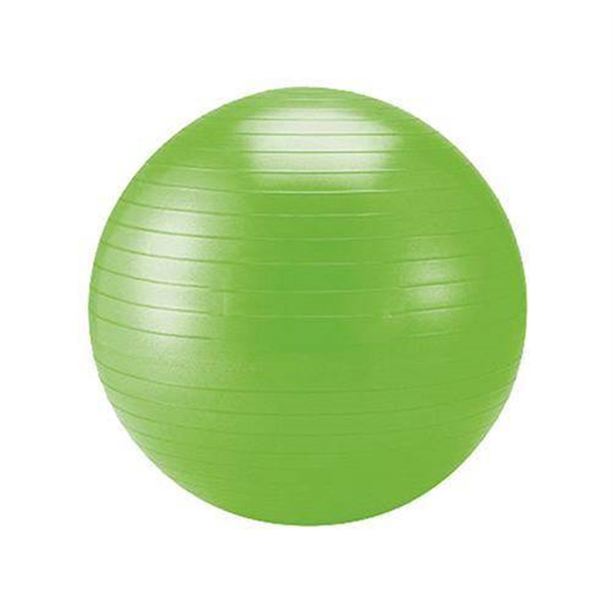 Pilates Topu 65 cm Pompa Hediyeli Asorti