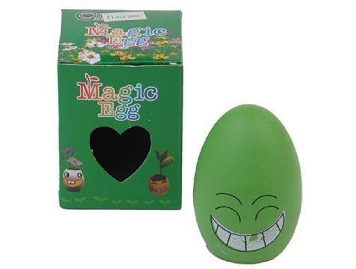 Magic Egg Sihirli Yumurta Asorti