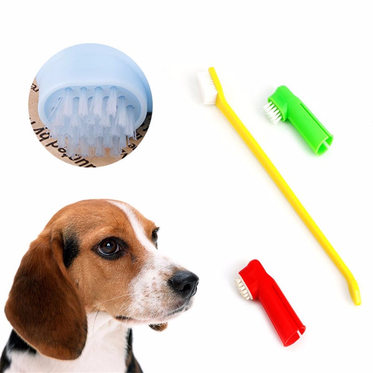 Kedi Köpek 2 Adet Parmak Fırça Hediyeli Diş Fırçası Seti
