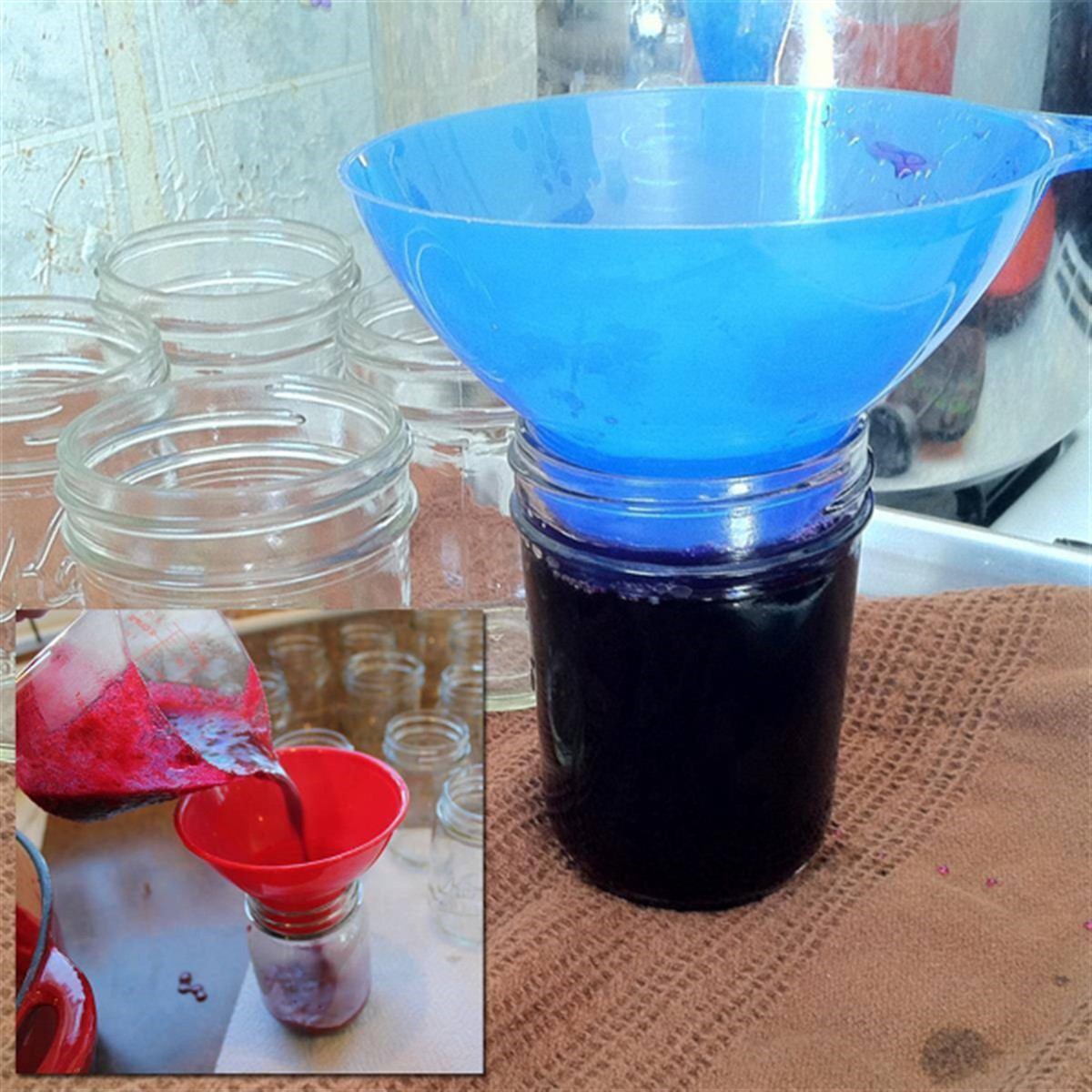 Kavanoz Hunisi Asorti